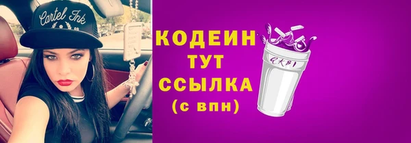 СК Туринск