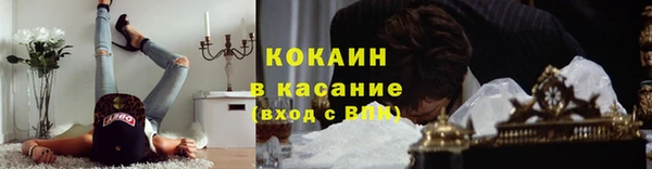 ГАЛЛЮЦИНОГЕННЫЕ ГРИБЫ Наволоки